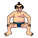 sumo